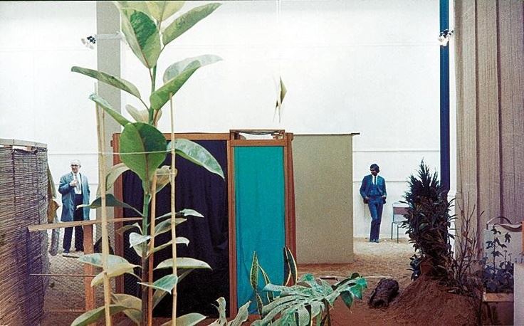 Tropicália, 1967.